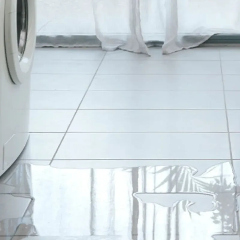 Appliance Leak Cleanup in Arial, SC