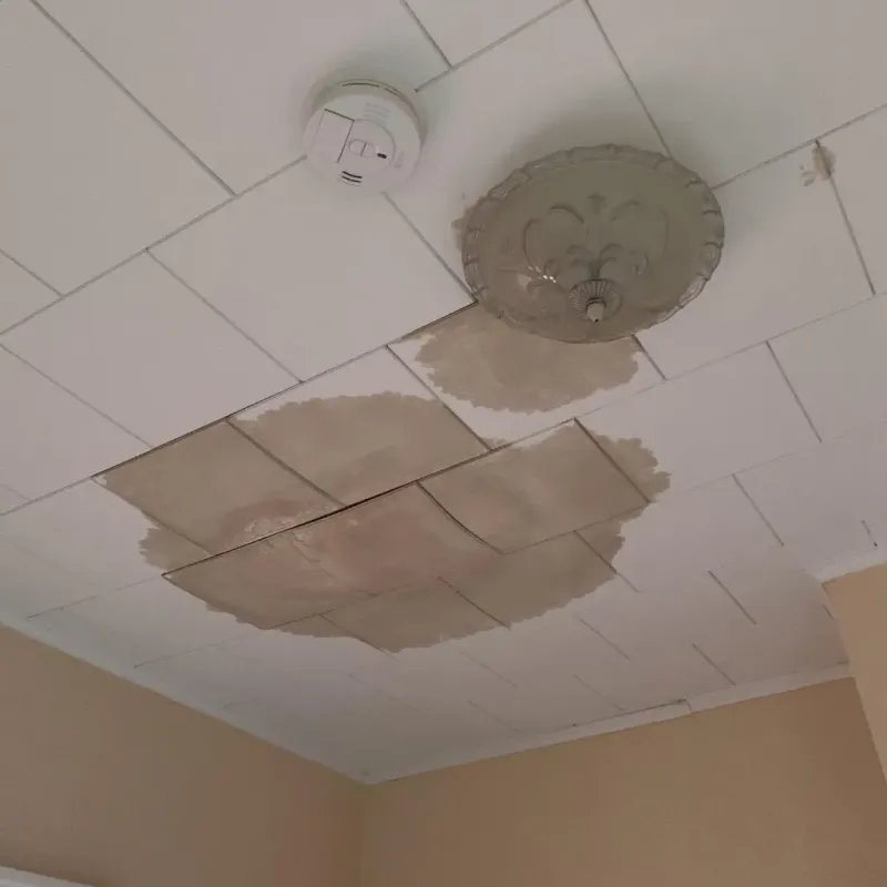 Ceiling Water Damage Repair in Arial, SC