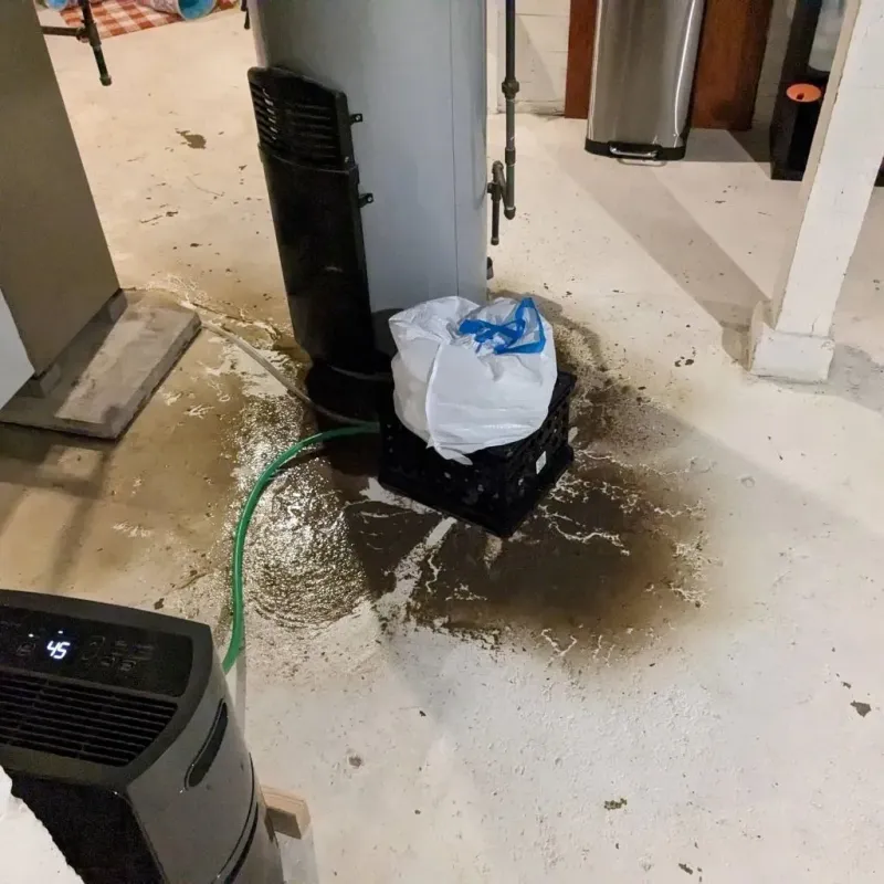 Sewage Backup Cleanup Service in Arial, SC